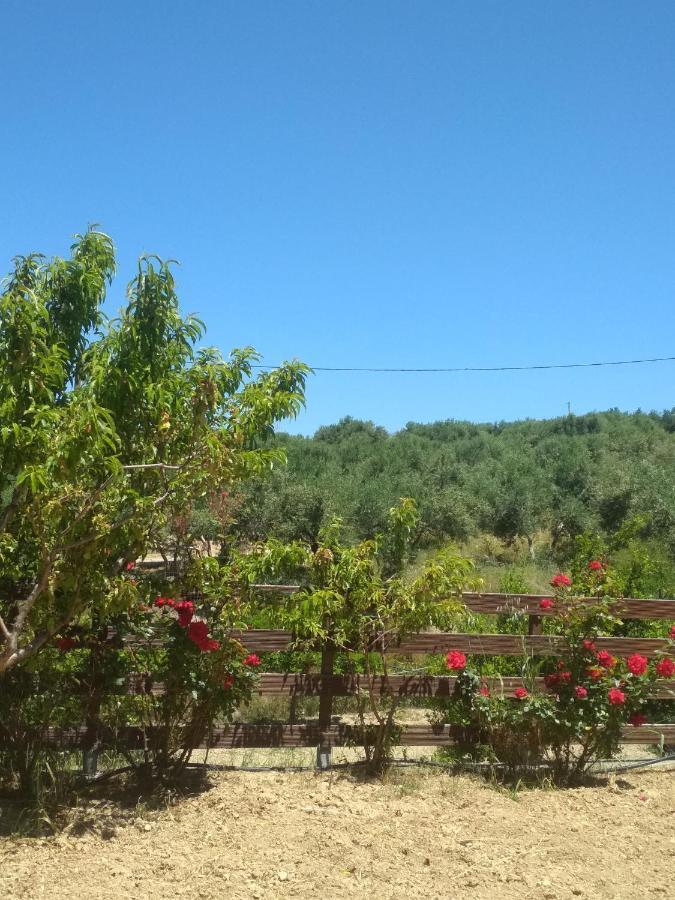 Eden Garden Villa Near Knossos Skalanion ภายนอก รูปภาพ
