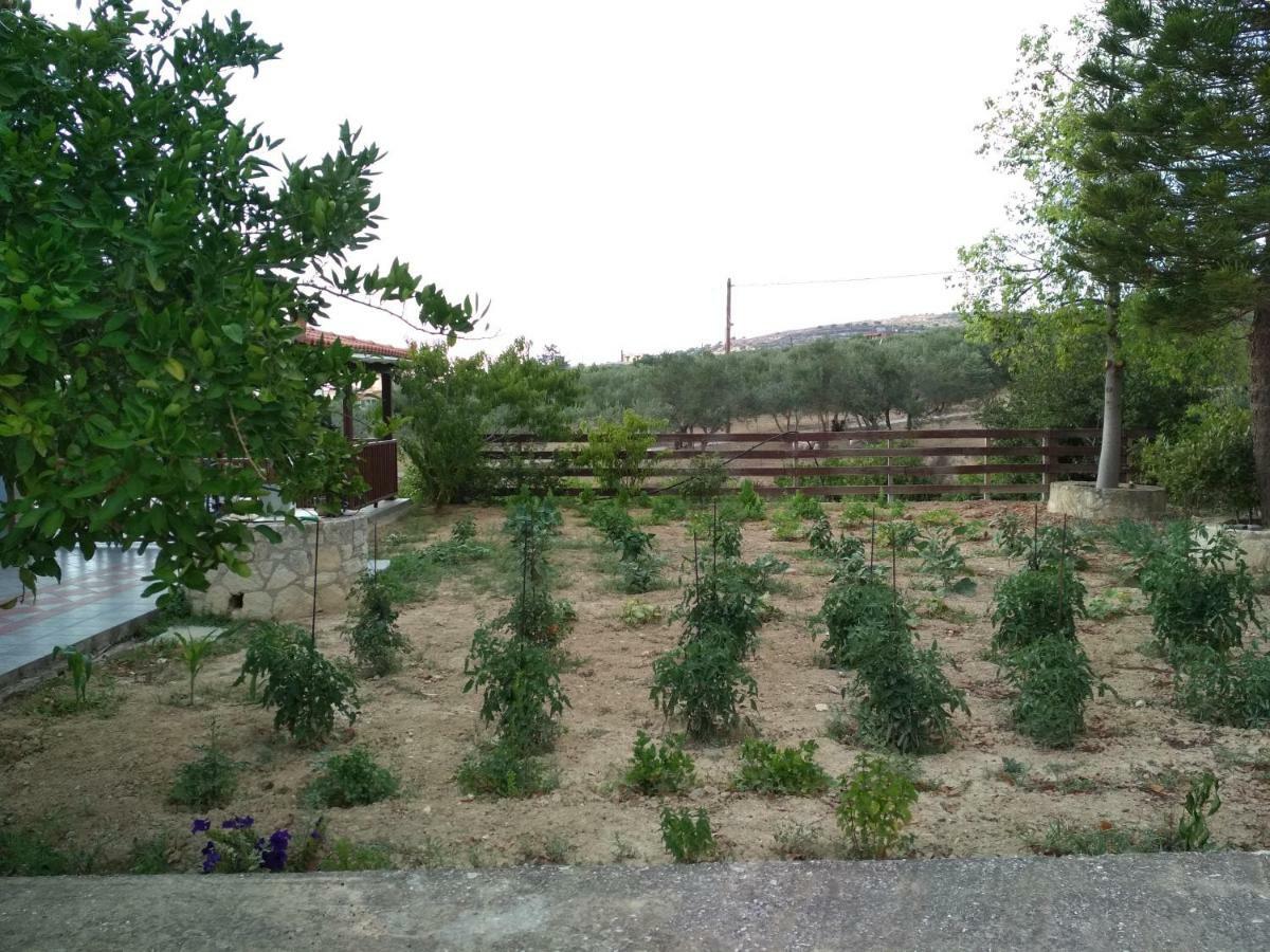 Eden Garden Villa Near Knossos Skalanion ภายนอก รูปภาพ